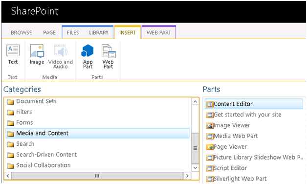 Media and Content Section